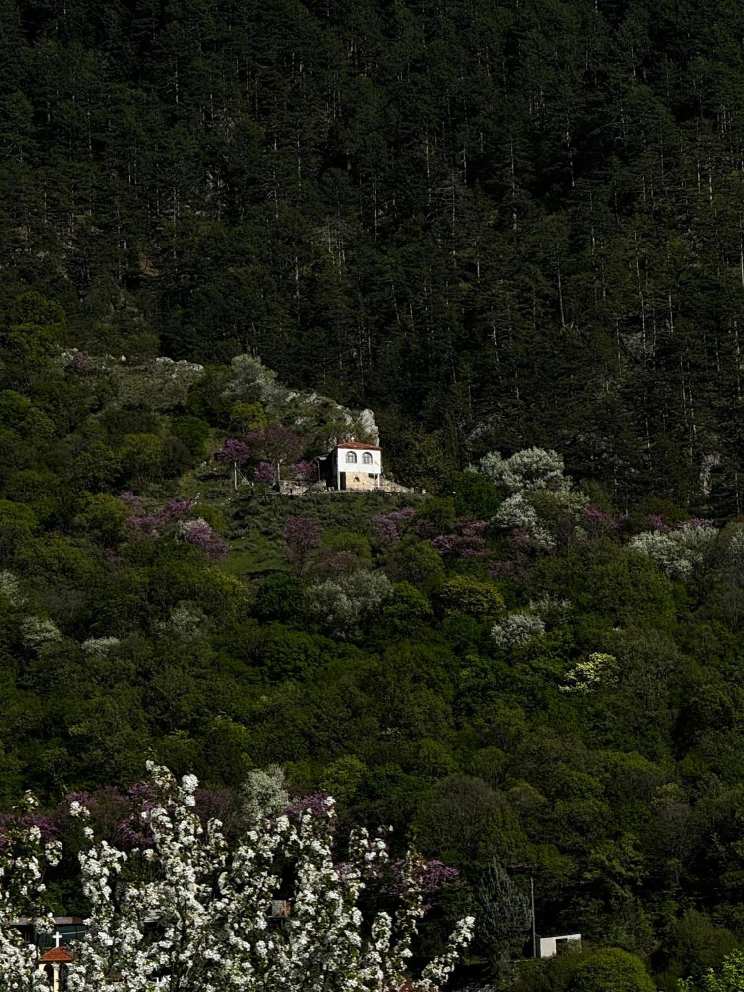 Mountain Serenity كونيتسا المظهر الخارجي الصورة